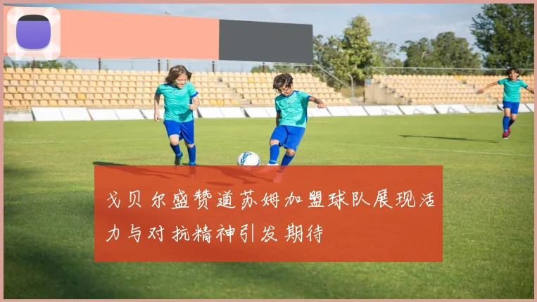 戈贝尔盛赞道苏姆加盟球队展现活力与对抗精神引发期待